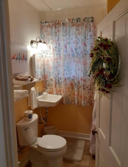 #05 - Lakefront Two Bedroom Cottage- Pet Friendly Hot Springs Kültér fotó